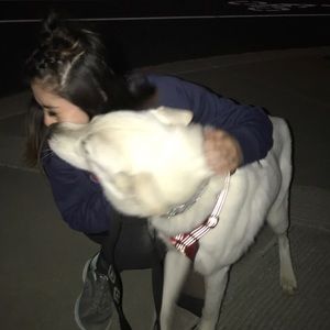 Meet your Posher, Maddy